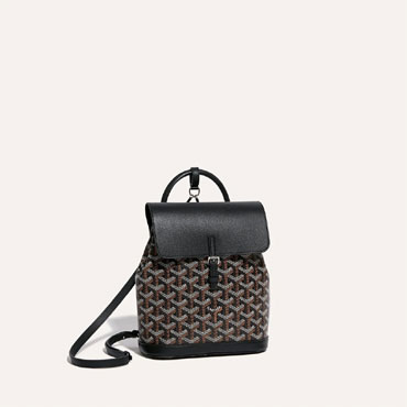 Goyard Alpin Mini Backpack in Black ALPIN2MINTY01CL01P