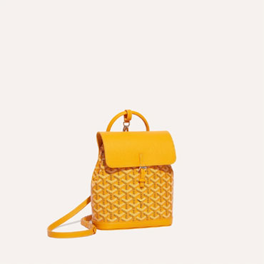 Goyard Alpin Mini Backpack in Yellow ALPIN2MINTY08CL08P