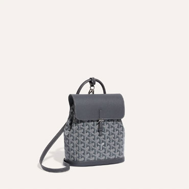 Goyard Alpin Mini Backpack in Grey ALPIN2MINTY51CL51P