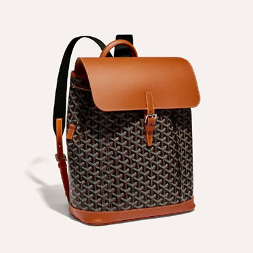 Goyard Alpin MM Backpack in Black Tan ALPIN2MMLTY01CL03P