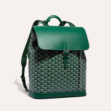 Goyard Alpin MM Backpack in Green ALPIN2MMLTY09CL09P