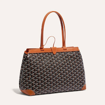 Goyard Bellechasse Biaude PM Bag in Black Tan BELBIAPMLTY01CL03P
