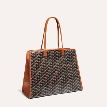 Goyard Hardy PM Bag in Black Tan HARDY2PMLTY01CG03P