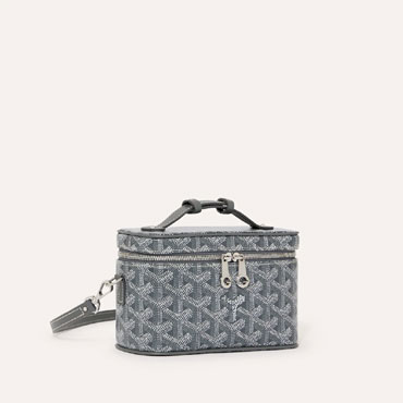 Goyard Muse Mini Vanity in Grey MUSEVAMINTY51CL51P