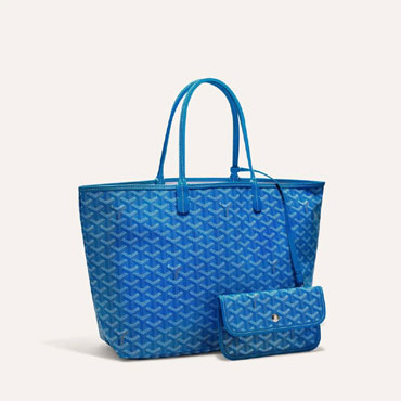 Goyard Saint Louis PM Bag in Sky Blue STLOUIPMLTY10CL10P