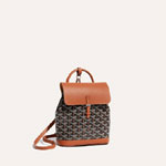 Goyard Alpin Mini Backpack in Black Tan ALPIN2MINTY01CL03P