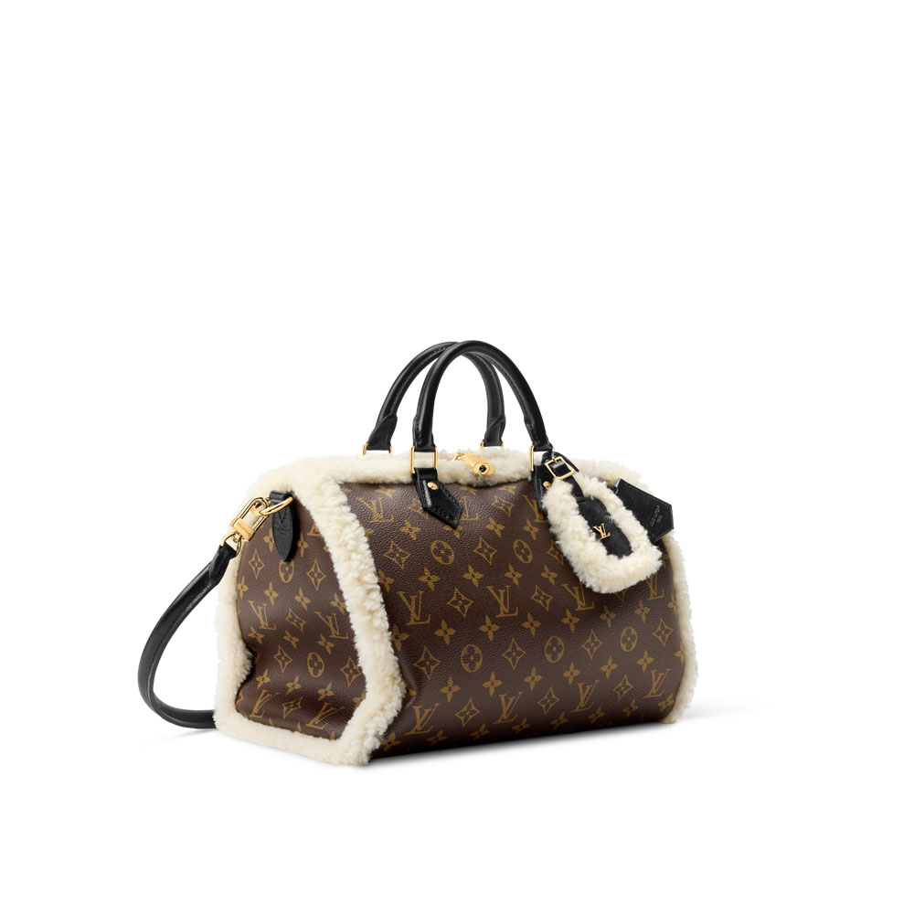 Louis Vuitton Speedy Soft 30 Teddy H33 M26326: Image 2