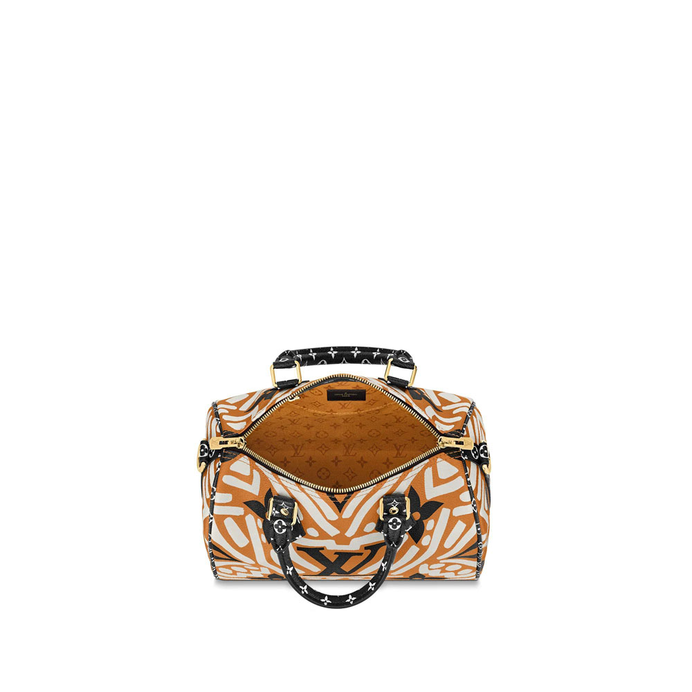 LV Crafty Speedy Bandouliere 25 Autres Toiles Monogram M56588: Image 3