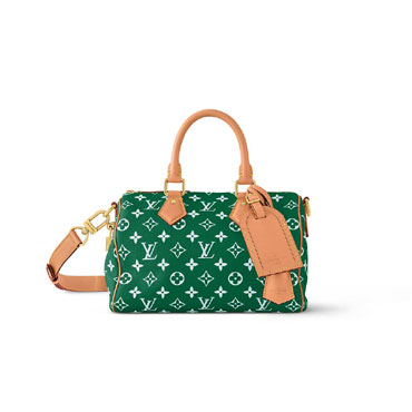 Louis Vuitton Runway Speedy P9 Bandouliere 25 M24423