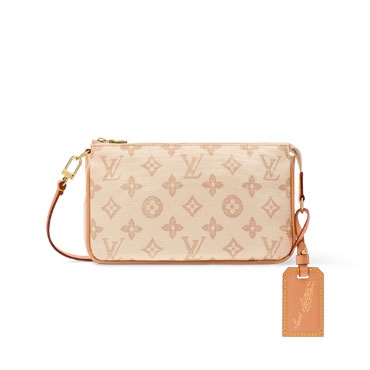 Louis Vuitton Pochette Accessoires Other Monogram Canvas M28321