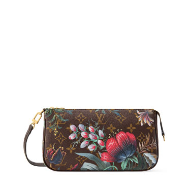 Louis Vuitton Pochette Accessoires Other Monogram Canvas M29148