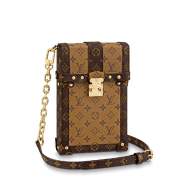 Louis Vuitton POCHETTE TRUNK VERTICALE M67873