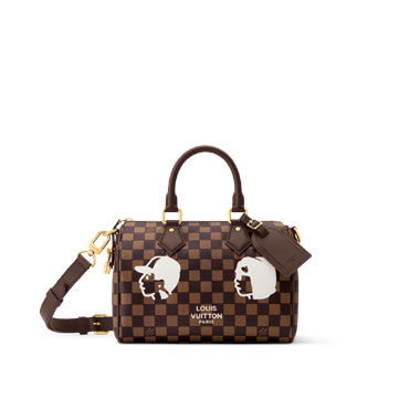Louis Vuitton Speedy 25 Bandouliere Damier Other N40772