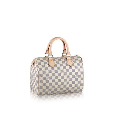 Louis Vuitton Speedy 25 N41371