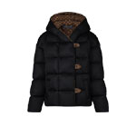 Louis Vuitton Long-Sleeved Pillow Puffer Jacket 1AAIJD