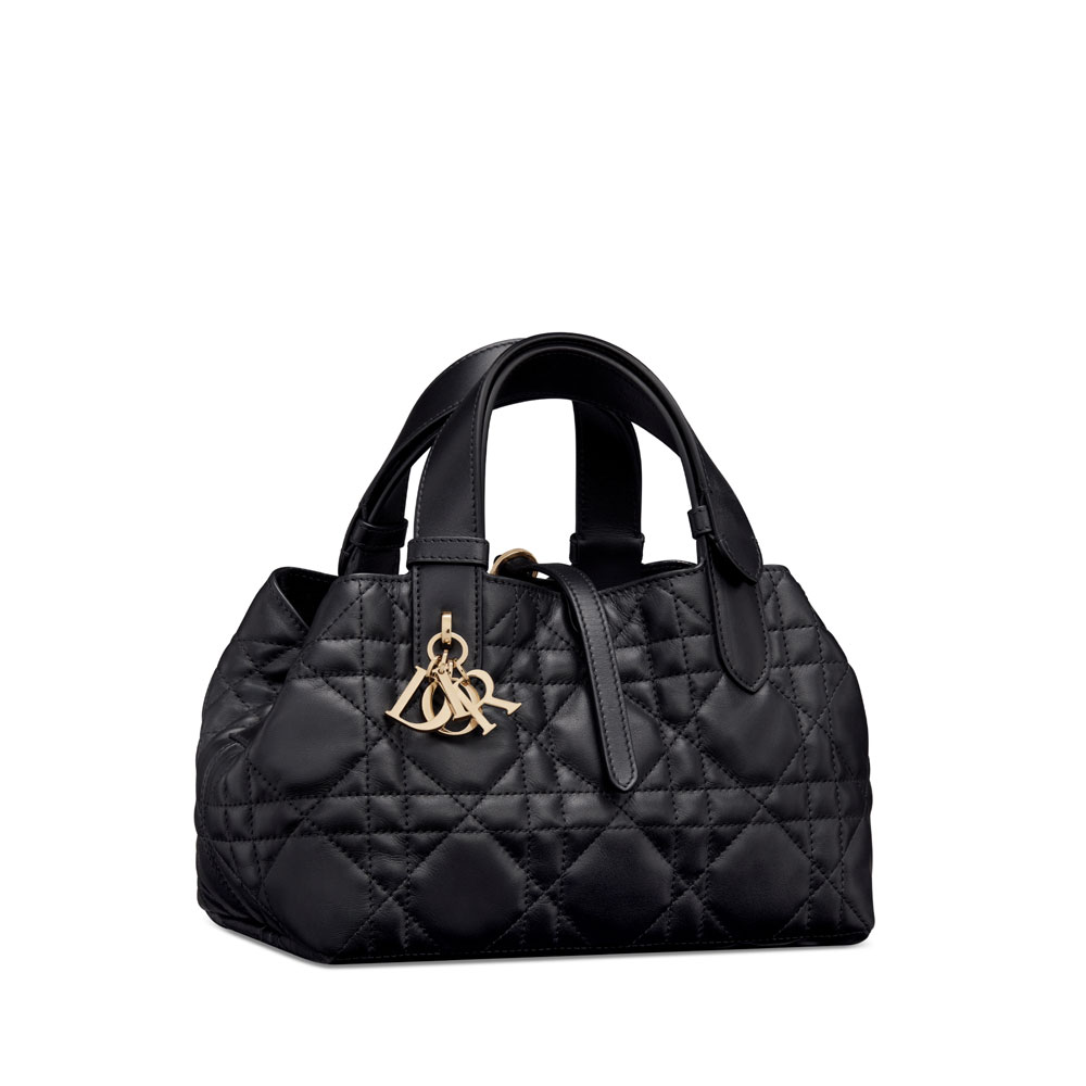 Small Dior Toujours Bag in Black M2822OSNW M900: Image 1