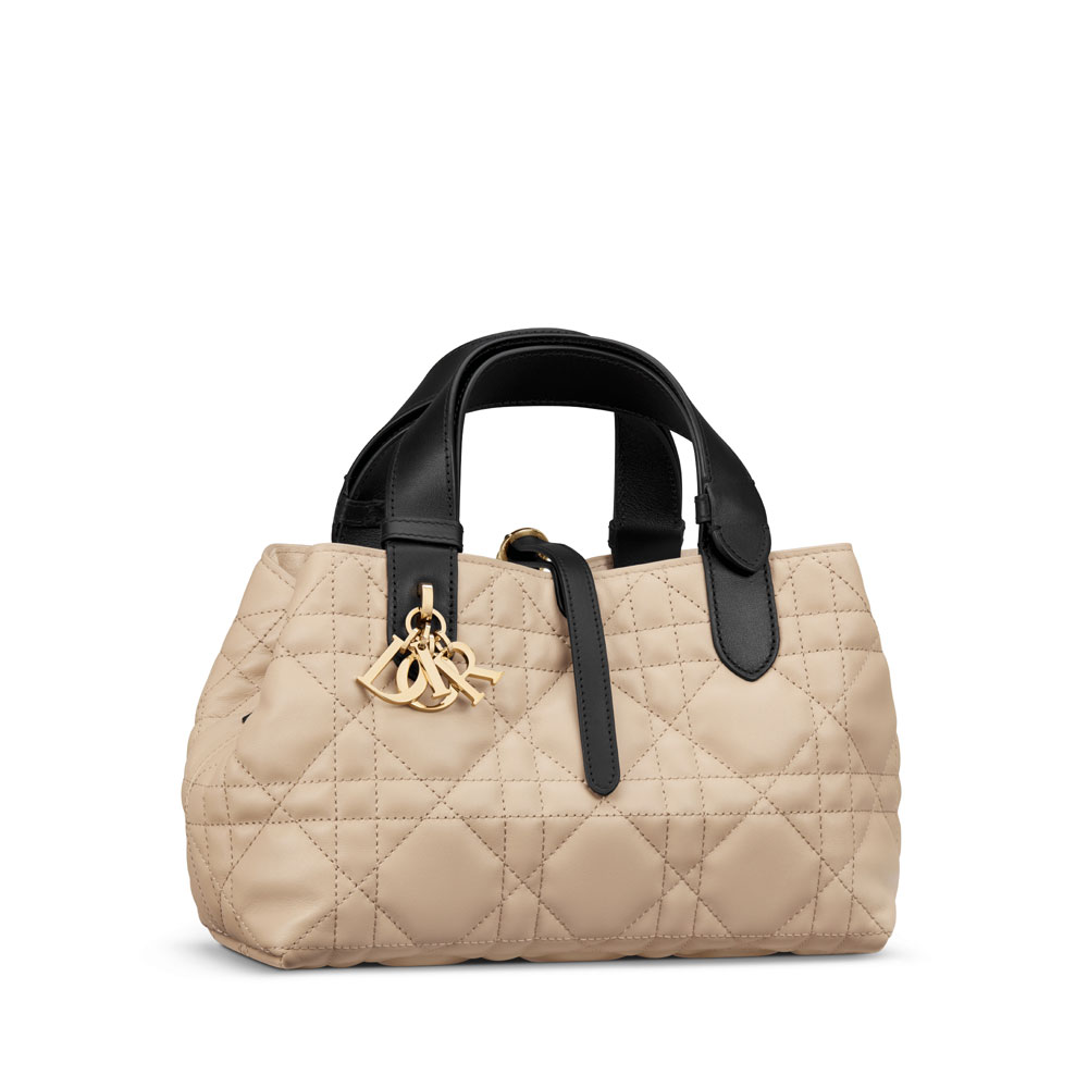 Small Dior Toujours Bag in Beige M2822OSIY M963: Image 2