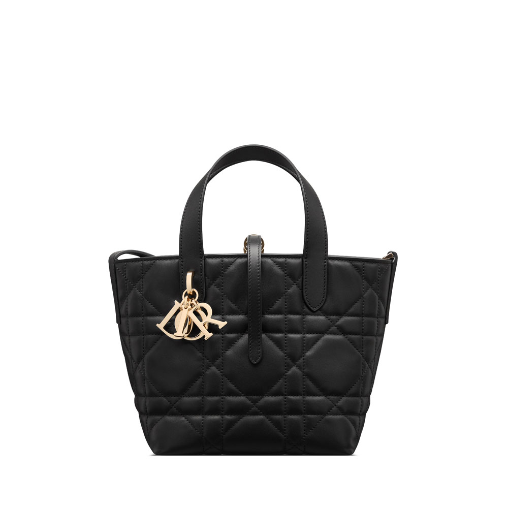 Small Dior Toujours Vertical Tote Bag in Black M2835OSNW M900: Image 1