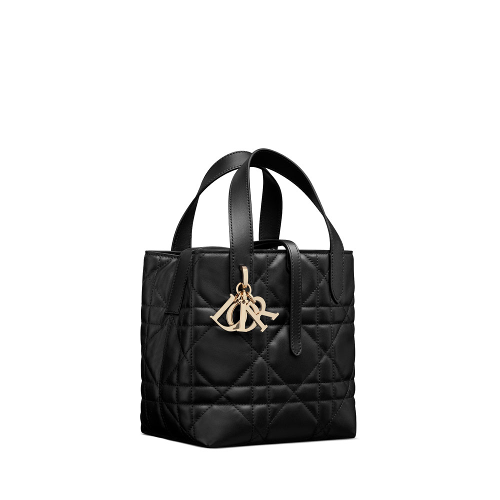 Small Dior Toujours Vertical Tote Bag in Black M2835OSNW M900: Image 2