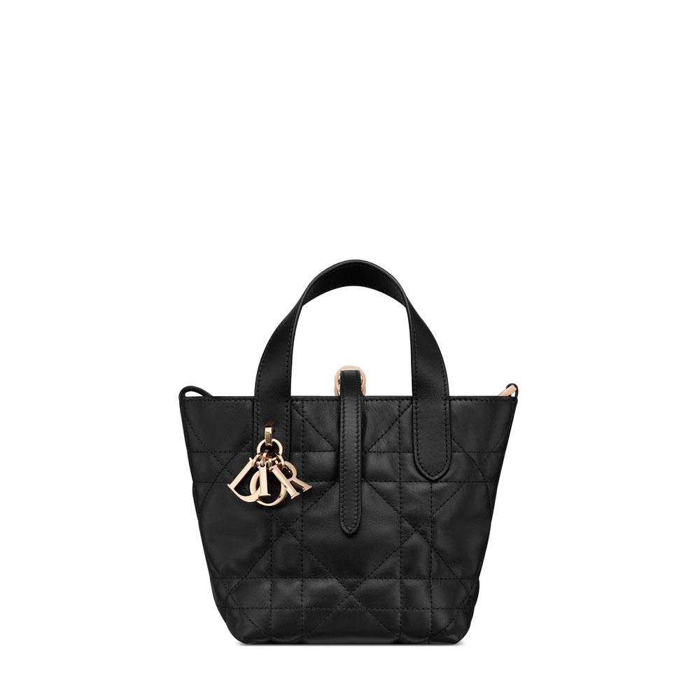 Dior Toujours Vertical Nano Tote Bag in Black S6100OSNW M900: Image 1