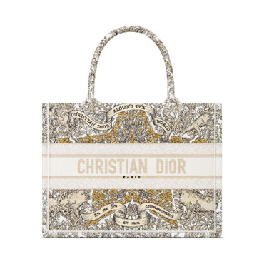 Medium Dior Book Tote in Multicolor M1296ZEDP M01E
