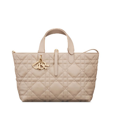 Medium Dior Toujours Bag in Desert M2821OSNW M59U